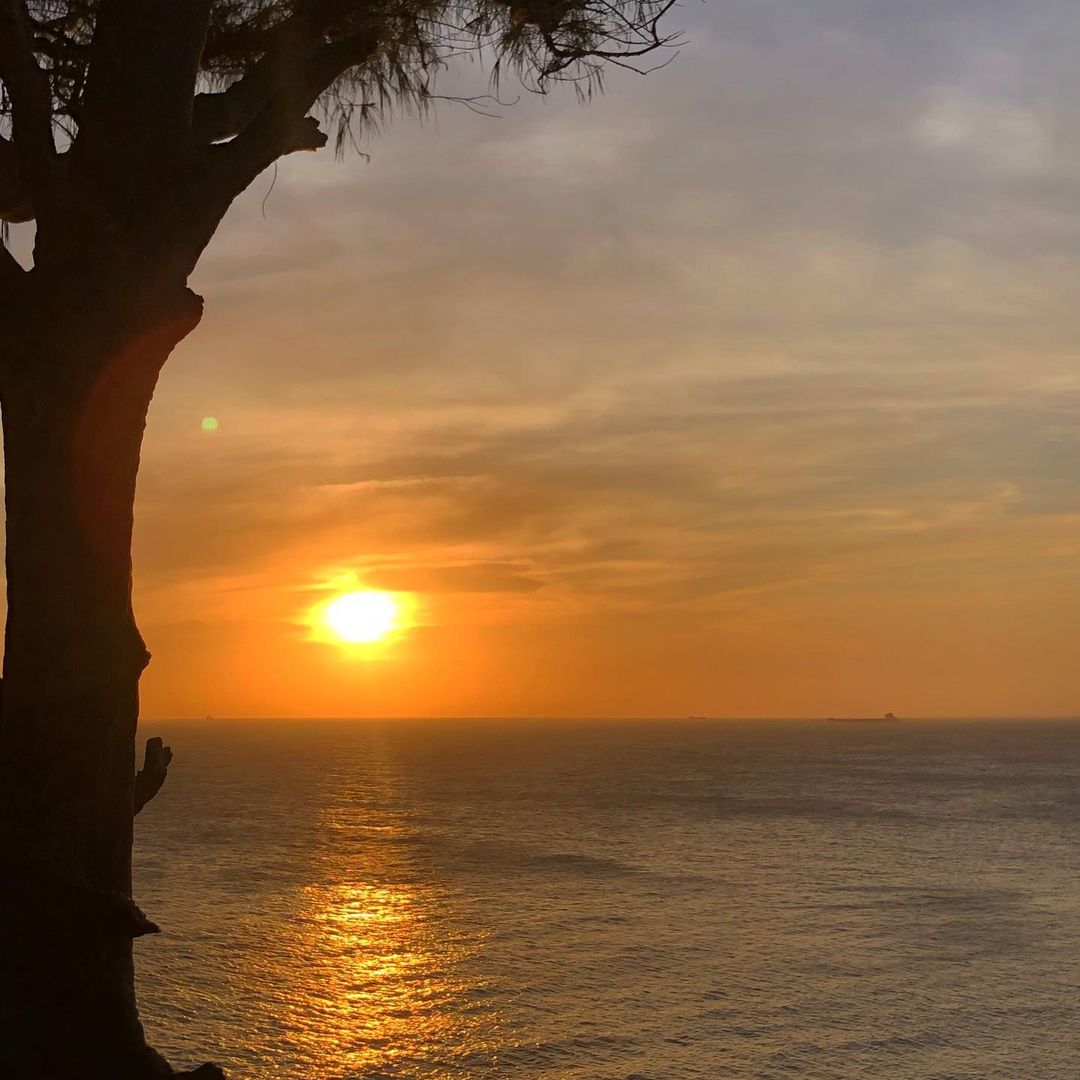 Begin your visa-prepared day with Vung Tau’s tranquil ambiance
